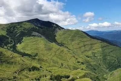 Spațiu comercial, de 1,100,000 mp, în Nucșoara - 8