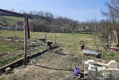 Casă cu 3 camere cu Teren 1295 Mp în Surducu Mare