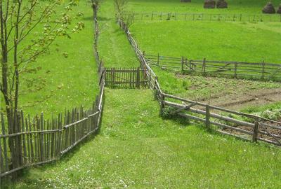 Teren de 2800 mp, în Dâmbovicioara - 5
