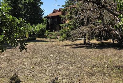 Casă cu Teren 1500 Mp în Bălteni - 3