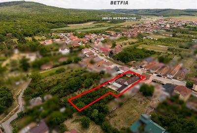 Casă cu 6 camere cu Teren 1397 Mp în Băile 1 Mai - 8