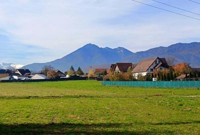 Teren Construcții intravilan de 3100 mp, în Turcheș - 3