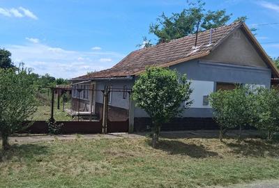 Casă cu 3 camere cu Teren 1500 Mp în Central - 7