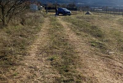 Teren de 713 mp, în Șoimuș - 4