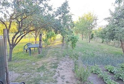 Casă cu Teren 1439 Mp în Banloc - 2
