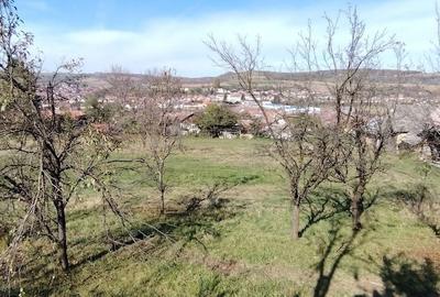 Teren de 3798 mp, în Central - 1