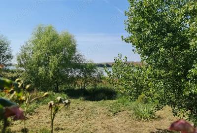 Teren de 1100 mp, în Pișchia - 1