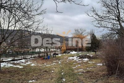 Teren de 10435 mp, în Stănilești - 4