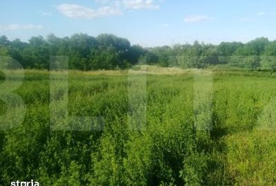 Teren de 3700 mp, în Brăești