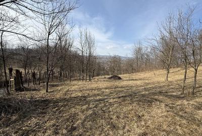 Teren Construcții intravilan de 2788 mp, în Central