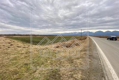 Teren agricol extravilan de 3402 mp, în Aeroport