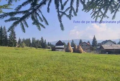 Teren de 6450 mp, în Neagra - 5