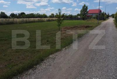 Teren de 447 mp, în Priseaca