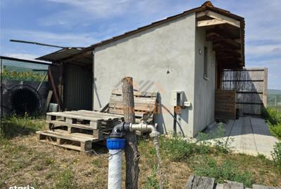 Spațiu comercial, în Paleu - 6