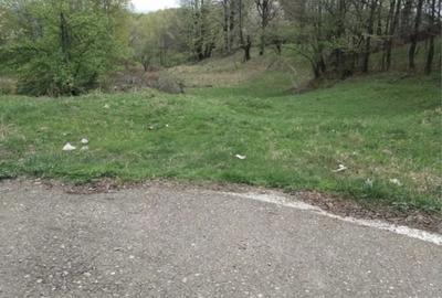 Teren în Buștenari - 2