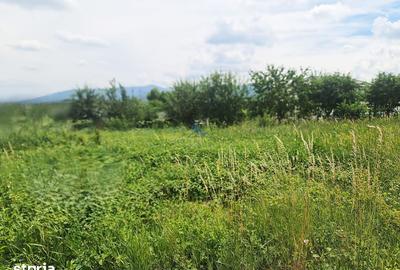 Teren de 631 mp, în Central