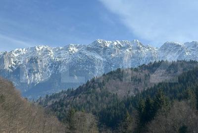 Teren extravilan de 5170 mp, în Plaiul Foii