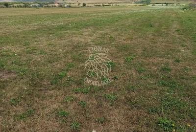 Teren Construcții intravilan de 5217 mp, în Livezile - 2