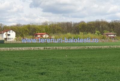 Teren Construcții intravilan de 800 mp, în Dumbrăveni - 1