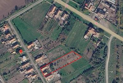 Casă cu Teren 2900 Mp în Jamu Mare - 1