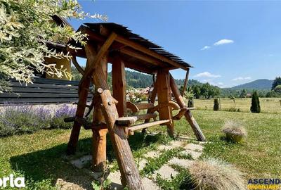 Casă cu 5 camere cu Teren 2032 Mp în Lunca - 10