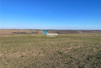 Teren agricol extravilan de 30000 mp, în Horlești (Rediu) - 4