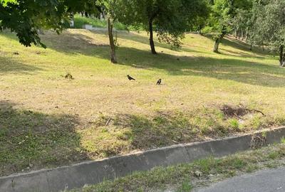 Teren de 2025 mp, în Central