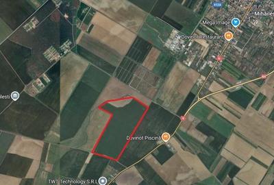 Teren agricol extravilan de 343000 mp, în Nord - 1