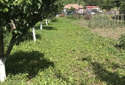 Teren de 1440 mp, în Central