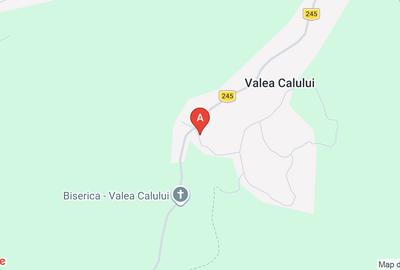 Teren agricol extravilan de 7800 mp, în Valea Calului