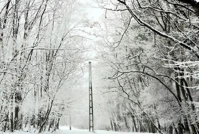 Teren de 12300 mp, în Grebănu - 2