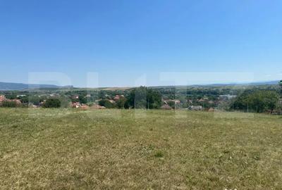 Teren în Criș