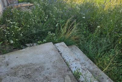 Casă individuală cu 3 camere cu Garaj în Sântana de Mureș - 5