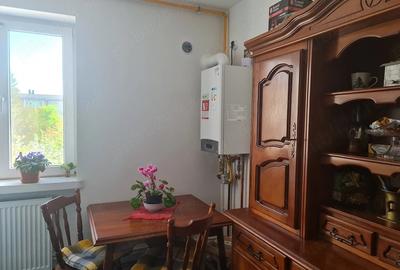 Apartament cu 2 camere semidecomandat în Traian - 5