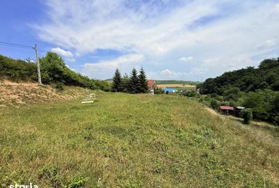 Teren de 2500 mp, în Sântana de Mureș - 9