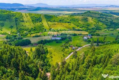Teren de 7400 mp, în Tărlungeni - 8