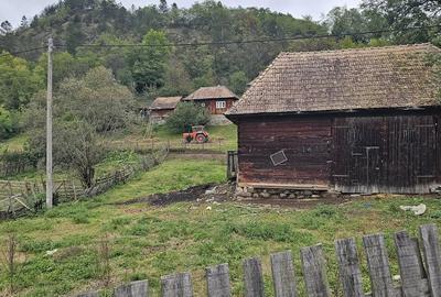 Teren de 800 mp, în Ocolișel - 3