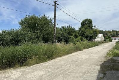 Spațiu comercial, în Șura Mare - 5
