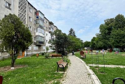 Apartament cu 2 camere semidecomandat, mobilat în Gojdu - 2