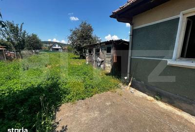 Casă cu 3 camere cu Teren 910 Mp în Sâncraiu de Mureș - 4