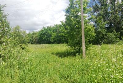 Teren de 1850 mp, în Calvini - 6