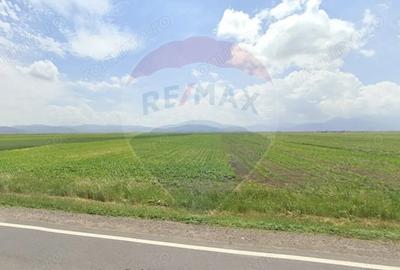 Teren de 6000 mp, în Prejmer