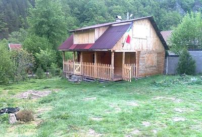 Casă în Clopotiva