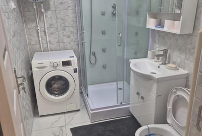 Apartament cu 2 camere decomandat în Gura Văii - 6