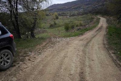 Spațiu comercial, în Petru Rareș