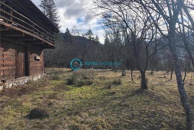 Teren Construcții intravilan de 5041.41015625 mp, în Voineasa - 2