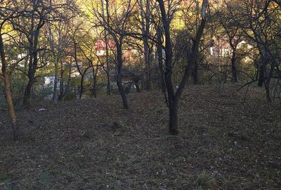 Teren de 3788 mp, în Central - 6