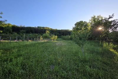 Casa spatioasa – Micesti, Arges, teren generos 2.500 mp, COMISION 0% - 17