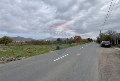 Teren de vanzare - Str. Dumbravei, cu front la centura (26 m) - 2