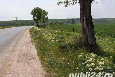 Teren de 45000 mp, în Central - 1
